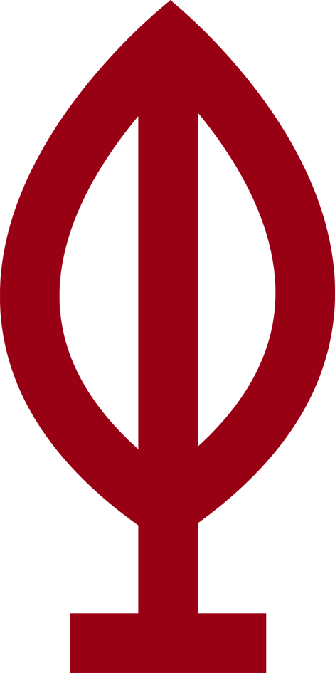 DEVICE TRIYOM GROUP trademark