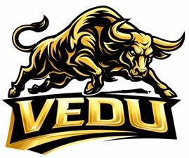 VEDU trademark