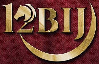 12BIJ trademark