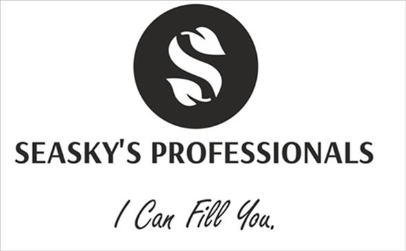 SEASKY'S PROFESSIONALS trademark
