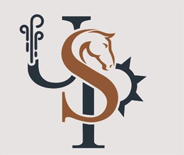 UNIQUE SUN POWER trademark