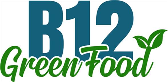 B12 GREEN FOOD trademark
